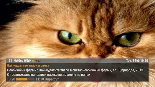 تحميل تطبيق Unitv Apk للاندرويد 2026 أخر إصدار مجانا تحميل تطبيق Unitv Apk للاندرويد 2026 أخر إصدار مجانا