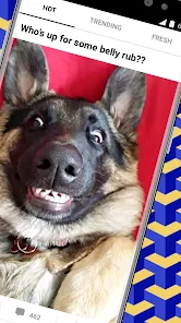 تحميل تطبيق 9GAG مهكر Apk للاندرويد 2026 أخر إصدار مجانا تحميل تطبيق 9GAG مهكر Apk للاندرويد 2026 أخر إصدار مجانا