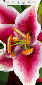 تحميل تطبيق SketchBook Pro مهكر Apk 2026 للرسم الاحترافي للاندرويد أخر إصدار مجانا تحميل تطبيق SketchBook Pro مهكر Apk 2026 للرسم الاحترافي للاندرويد أخر إصدار مجانا