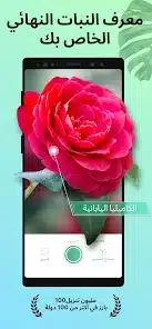 تحميل تطبيق PictureThis مهكر Apk للاندرويد 2026 أخر إصدار مجانا تحميل تطبيق PictureThis مهكر Apk للاندرويد 2026 أخر إصدار مجانا