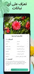 تحميل تطبيق PictureThis مهكر Apk للاندرويد 2026 أخر إصدار مجانا تحميل تطبيق PictureThis مهكر Apk للاندرويد 2026 أخر إصدار مجانا