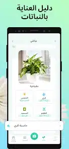 تحميل تطبيق PictureThis مهكر Apk للاندرويد 2026 أخر إصدار مجانا تحميل تطبيق PictureThis مهكر Apk للاندرويد 2026 أخر إصدار مجانا