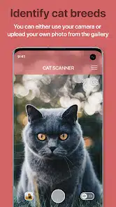تحميل تطبيق Cat Scanner: Breed Recognition مهكر Apk للاندرويد 2026 أخر إصدار مجانا تحميل تطبيق Cat Scanner: Breed Recognition مهكر Apk للاندرويد 2026 أخر إصدار مجانا