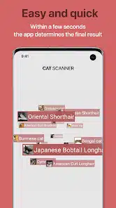 تحميل تطبيق Cat Scanner: Breed Recognition مهكر Apk للاندرويد 2026 أخر إصدار مجانا تحميل تطبيق Cat Scanner: Breed Recognition مهكر Apk للاندرويد 2026 أخر إصدار مجانا