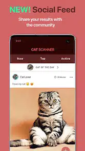 تحميل تطبيق Cat Scanner: Breed Recognition مهكر Apk للاندرويد 2026 أخر إصدار مجانا تحميل تطبيق Cat Scanner: Breed Recognition مهكر Apk للاندرويد 2026 أخر إصدار مجانا