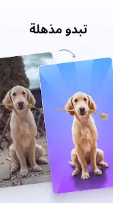 تحميل برنامج فوتو روم PhotoRoom Pro مهكر Apk للاندرويد 2026 أخر إصدار مجانا تحميل برنامج فوتو روم PhotoRoom Pro مهكر Apk للاندرويد 2026 أخر إصدار مجانا