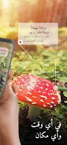 تحميل تطبيق Picture Mushroom مهكر Apk للاندرويد 2026 أخر إصدار مجانا تحميل تطبيق Picture Mushroom مهكر Apk للاندرويد 2026 أخر إصدار مجانا