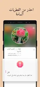 تحميل تطبيق Picture Mushroom مهكر Apk للاندرويد 2026 أخر إصدار مجانا تحميل تطبيق Picture Mushroom مهكر Apk للاندرويد 2026 أخر إصدار مجانا