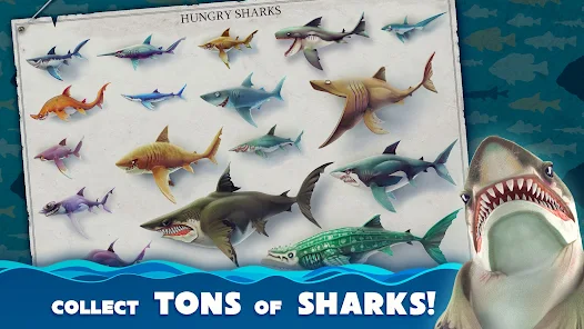 تحميل لعبة Hungry Shark World مهكرة Apk للاندرويد 2026 أخر إصدار مجانا تحميل لعبة Hungry Shark World مهكرة Apk للاندرويد 2026 أخر إصدار مجانا