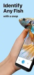 تحميل تطبيق Picture Fish - Fish Identifier مهكر Apk للاندرويد 2026 أخر إصدار مجانا تحميل تطبيق Picture Fish - Fish Identifier مهكر Apk للاندرويد 2026 أخر إصدار مجانا