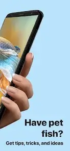 تحميل تطبيق Picture Fish - Fish Identifier مهكر Apk للاندرويد 2026 أخر إصدار مجانا تحميل تطبيق Picture Fish - Fish Identifier مهكر Apk للاندرويد 2026 أخر إصدار مجانا