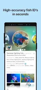 تحميل تطبيق Picture Fish - Fish Identifier مهكر Apk للاندرويد 2026 أخر إصدار مجانا تحميل تطبيق Picture Fish - Fish Identifier مهكر Apk للاندرويد 2026 أخر إصدار مجانا