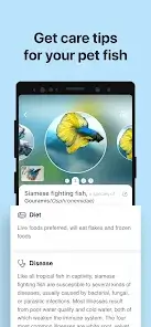 تحميل تطبيق Picture Fish - Fish Identifier مهكر Apk للاندرويد 2026 أخر إصدار مجانا تحميل تطبيق Picture Fish - Fish Identifier مهكر Apk للاندرويد 2026 أخر إصدار مجانا