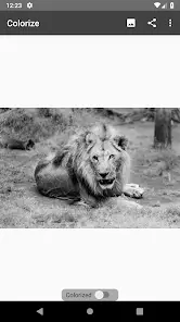 تحميل تطبيق Colorize Images مهكر Apk للاندرويد 2026 أخر إصدار مجانا تحميل تطبيق Colorize Images مهكر Apk للاندرويد 2026 أخر إصدار مجانا