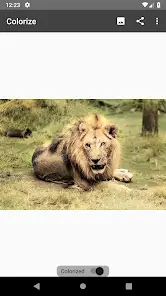 تحميل تطبيق Colorize Images مهكر Apk للاندرويد 2026 أخر إصدار مجانا تحميل تطبيق Colorize Images مهكر Apk للاندرويد 2026 أخر إصدار مجانا
