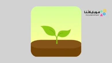 تحميل تطبيق حافظ على تركیزك Forest للاندرويد 2026 أخر إصدار مجانا تطبيق حافظ على تركیزك Forest