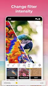 تحميل تطبيق Picturize It مهكر Apk للاندرويد 2026 أخر إصدار مجانا تحميل تطبيق Picturize It مهكر Apk للاندرويد 2026 أخر إصدار مجانا