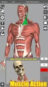 تحميل تطبيق 3D Anatomy مهكر Apk للاندرويد 2026 أخر إصدار مجانا تحميل تطبيق 3D Anatomy مهكر Apk للاندرويد 2026 أخر إصدار مجانا