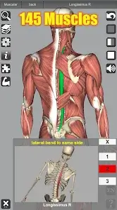 تحميل تطبيق 3D Anatomy مهكر Apk للاندرويد 2026 أخر إصدار مجانا تحميل تطبيق 3D Anatomy مهكر Apk للاندرويد 2026 أخر إصدار مجانا