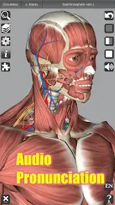 تحميل تطبيق 3D Anatomy مهكر Apk للاندرويد 2026 أخر إصدار مجانا تحميل تطبيق 3D Anatomy مهكر Apk للاندرويد 2026 أخر إصدار مجانا