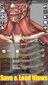 تحميل تطبيق 3D Anatomy مهكر Apk للاندرويد 2026 أخر إصدار مجانا تحميل تطبيق 3D Anatomy مهكر Apk للاندرويد 2026 أخر إصدار مجانا