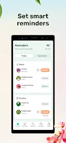 تحميل تطبيق Plant parent مهكر Apk للعناية بالنباتات للاندرويد 2026 أخر إصدار مجانا تحميل تطبيق Plant parent مهكر Apk للعناية بالنباتات للاندرويد 2026 أخر إصدار مجانا