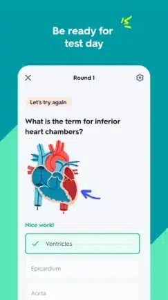 تحميل تطبيق Quizlet Premium مهكر Apk للاندرويد 2026 أخر إصدار مجانا تحميل تطبيق Quizlet Premium مهكر Apk للاندرويد 2026 أخر إصدار مجانا