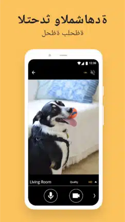 تحميل تطبيق Alfred Camera مهكر Apk للاندرويد 2026 أخر إصدار مجانا تحميل تطبيق Alfred Camera مهكر Apk للاندرويد 2026 أخر إصدار مجانا