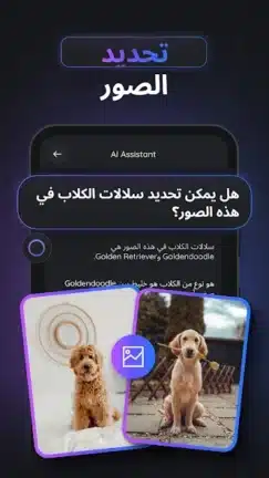تحميل تطبيق Gemmy AI مهكر Apk للاندرويد 2026 أخر إصدار مجانا تحميل تطبيق Gemmy AI مهكر Apk للاندرويد 2026 أخر إصدار مجانا