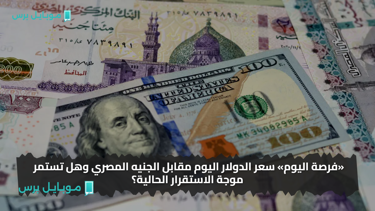 «فرصة اليوم» سعر الدولار اليوم مقابل الجنيه المصري وهل تستمر موجة الاستقرار الحالية؟