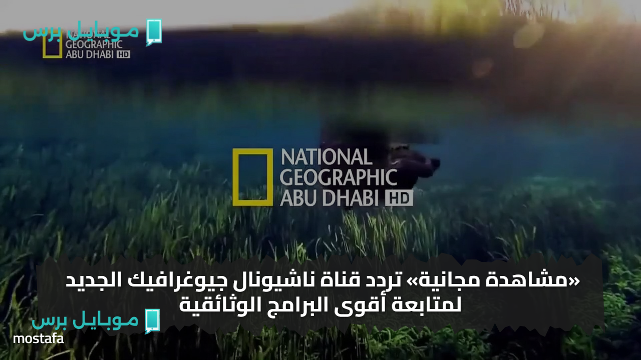 «مشاهدة مجانية» تردد قناة ناشيونال جيوغرافيك الجديد لمتابعة أقوى البرامج الوثائقية