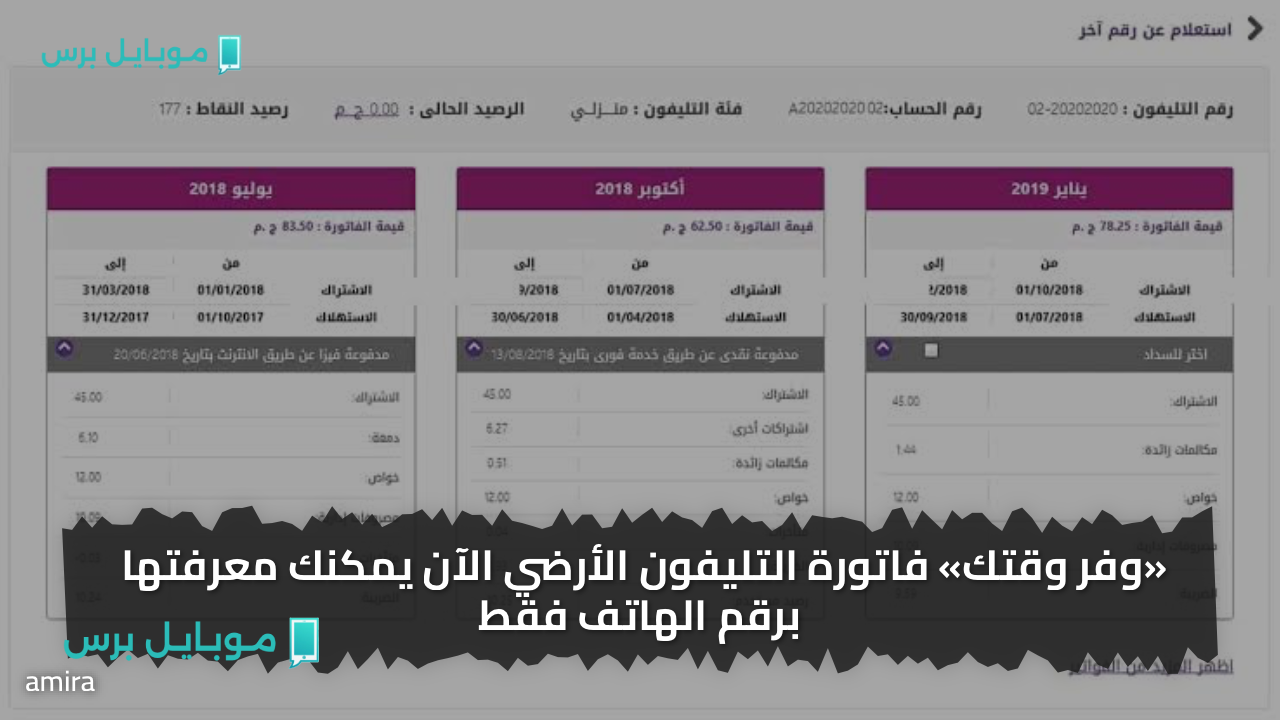 سدّد قبل الغرامة ووقف الخدمة.. طريقة الاستعلام عن فاتورة التليفون الأرضي 2025 عبر موقع المصرية للاتصالات te.eg