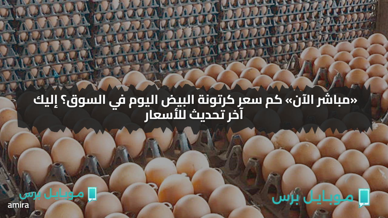 «مباشر الآن» كم سعر كرتونة البيض اليوم في السوق؟ إليك آخر تحديث للأسعار