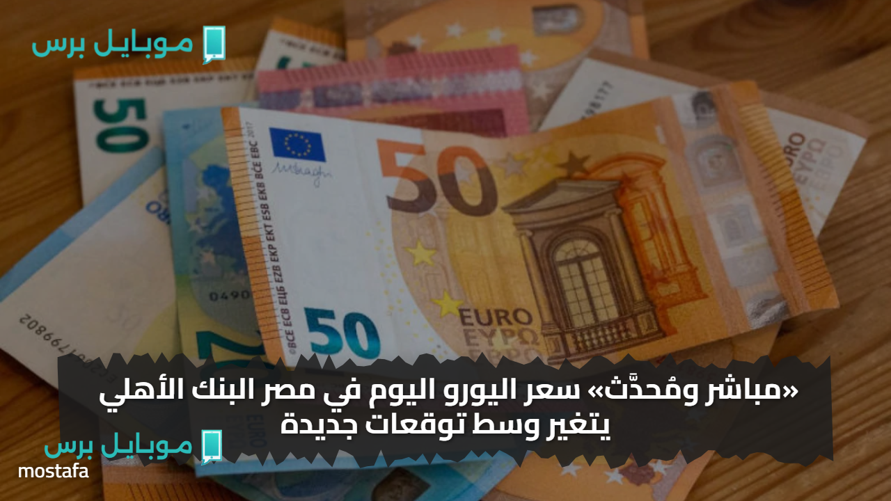 الوحيـــد ال طالع..  سعر اليورو اليوم في مصر البنك الأهلي يتغير وسط توقعات جديدة