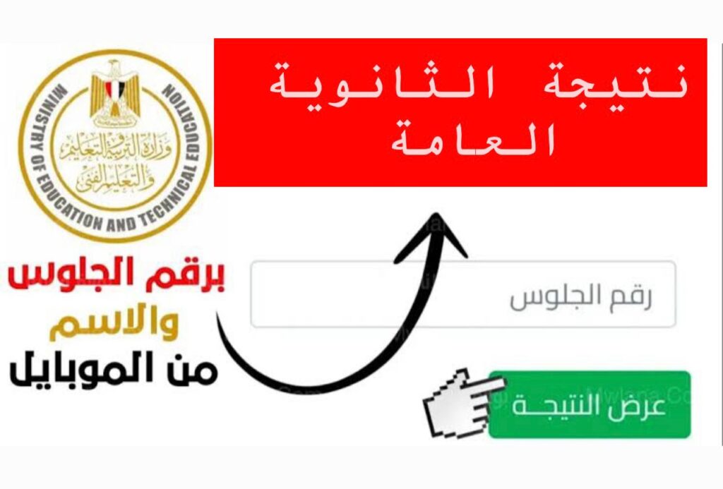 "استخـرج درجـاتك" استعـلم عبر موقع وزارة التربية والتعليم نتيجة الثانوية العامة 2025 القسم العلمي والأدبي حـال اعلانها