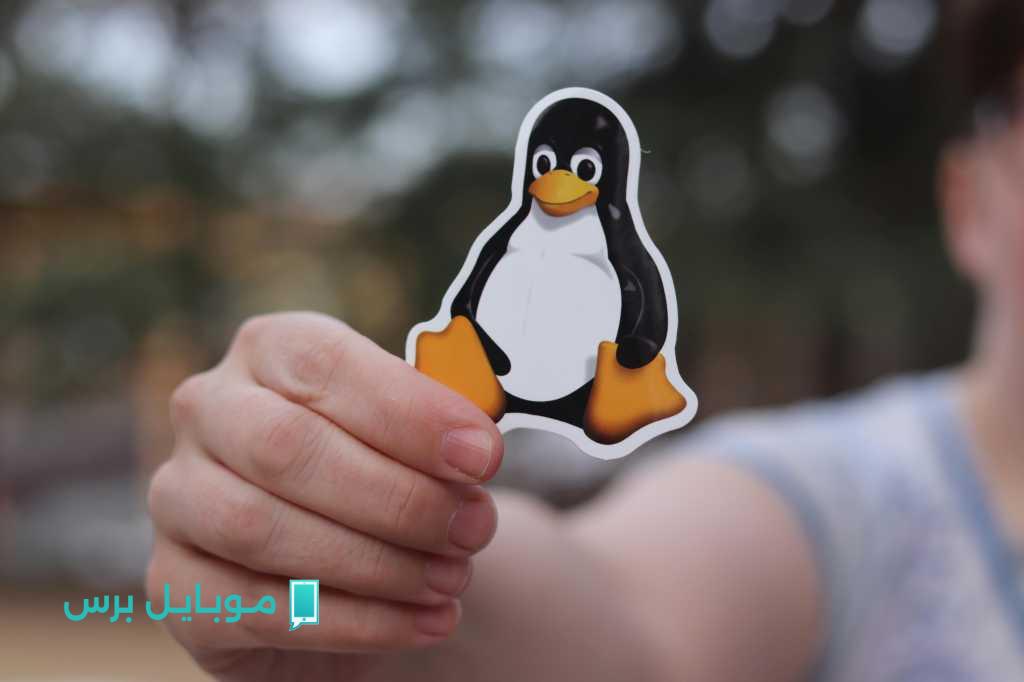 Linux تحقق إنجازًا جديدًا بتجاوز حصة السوق 5٪