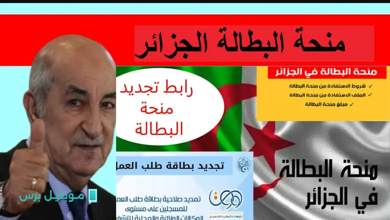 “فرصتك تقــدم هنايا” منحة البطالة في الجزائر 2025.. الشروط وطريقة التسجيل والاستعلام بسهولة