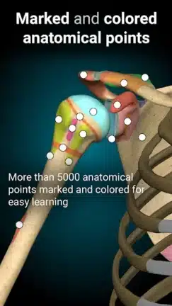 تحميل تطبيق Anatomy Learning مهكر Apk للاندرويد 2026 أخر إصدار مجانا تحميل تطبيق Anatomy Learning مهكر Apk للاندرويد 2026 أخر إصدار مجانا