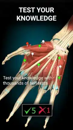 تحميل تطبيق Anatomy Learning مهكر Apk للاندرويد 2026 أخر إصدار مجانا تحميل تطبيق Anatomy Learning مهكر Apk للاندرويد 2026 أخر إصدار مجانا
