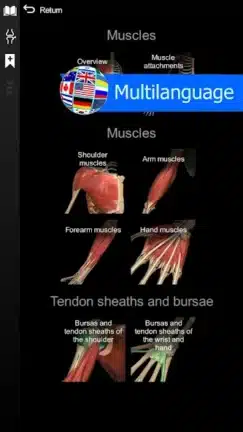 تحميل تطبيق Anatomy Learning مهكر Apk للاندرويد 2026 أخر إصدار مجانا تحميل تطبيق Anatomy Learning مهكر Apk للاندرويد 2026 أخر إصدار مجانا