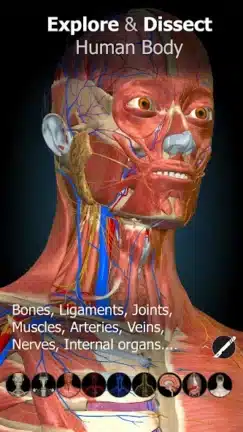 تحميل تطبيق Anatomy Learning مهكر Apk للاندرويد 2026 أخر إصدار مجانا تحميل تطبيق Anatomy Learning مهكر Apk للاندرويد 2026 أخر إصدار مجانا