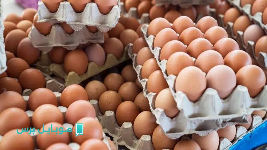 تحديث عاجل.. أسعار كرتونة البيض اليوم الخميس 17 يوليو 2025 في كل المحافظات