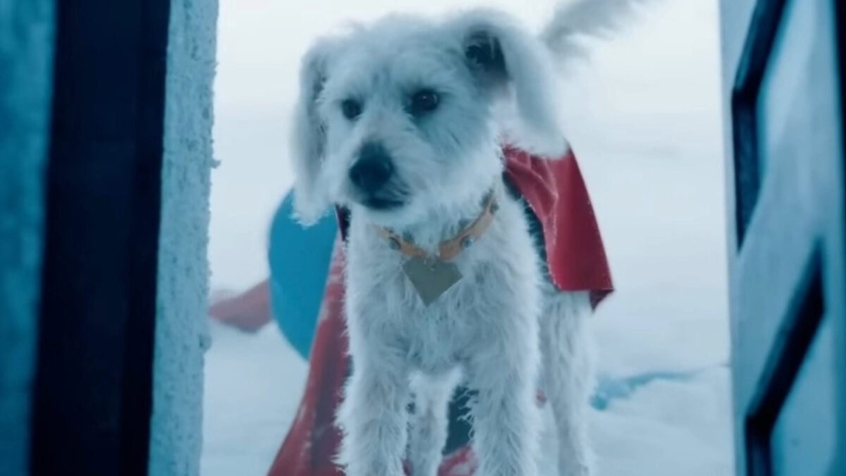 إلهام الجماهير: كيف يُحفز “سوبرمان” من Krypto محبي الكلاب على تبني سوبردوغ خاصة بهم