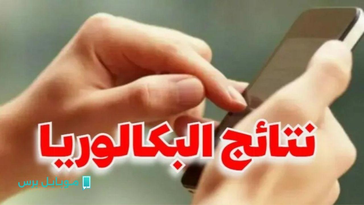 استعلم برقم التسجيل! احصل على نتائج بكالوريا 2025 في الجزائر عبر الموقع الرسمي للديوان الوطني