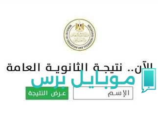 احصل على نتيجتك الآن! رابط مباشر لنتائج الشهادة الثانوية العامة 2025 في محافظة القاهرة برقم الجلوس والاسم