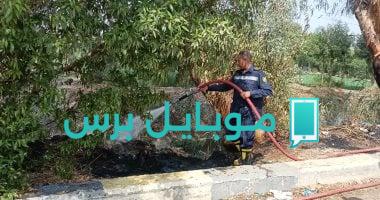 استراتيجيات فعالة للسيطرة على حرائق الغابات في طريق “أوسيم ـ البراجيل”