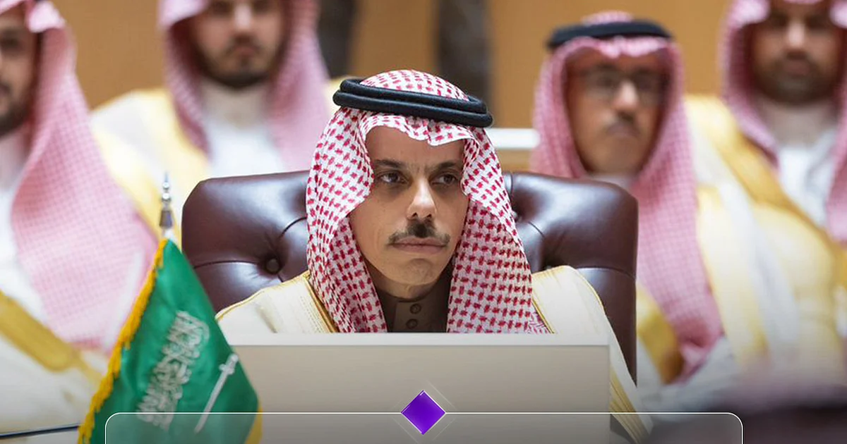 السعودية ودورها الريادي في تعزيز الاعتراف الدولي بدولة فلسطين
