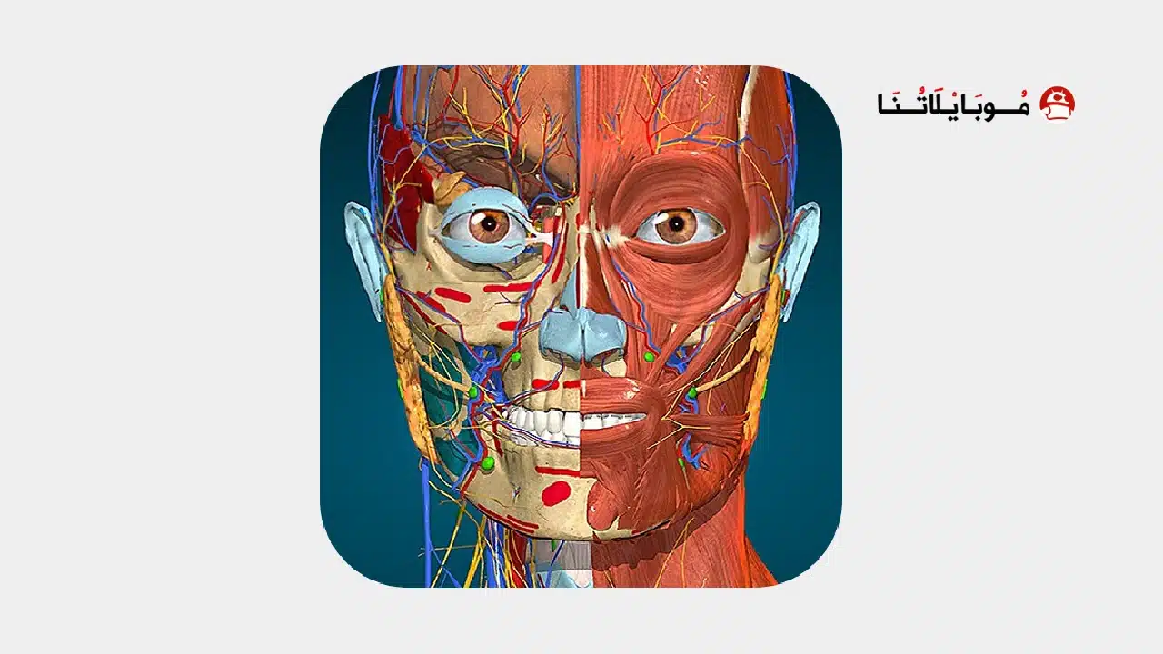 تحميل تطبيق Anatomy Learning مهكر Apk للاندرويد 2026 أخر إصدار مجانا تحميل تطبيق Anatomy Learning مهكر