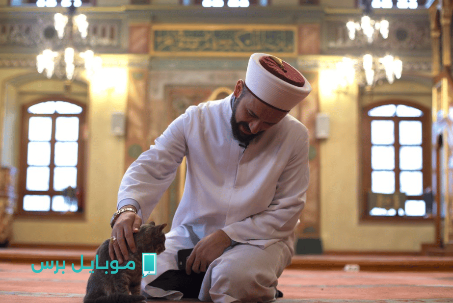 رقم شيخ للاستفسار عن الأمور الشرعية.. إليك الطريقة الصحيحة للتواصل وسؤال أهل العلم