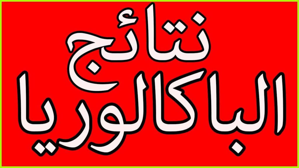 رابط مباشر لنتائج بكالوريا 2025 الجزائر: كيفية الوصول إلى النقاط عبر رقم التسجيل على موقع الديوان الوطني